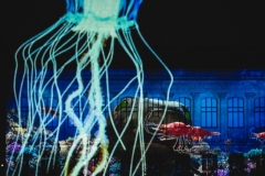 EnVoiedIllumination-251105-AurelieSauffier-00071