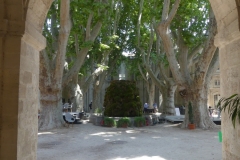 P1000394