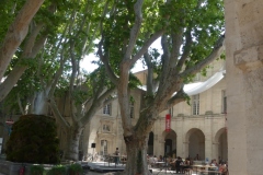 P1000395