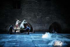 AVIGNON_79_2025