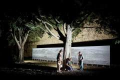 AVIGNON_79_2025