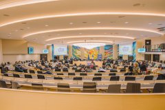 Arviva-27novembreMatin25