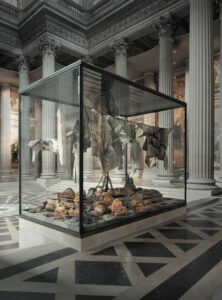 Une des six vitrines d’Anselm Kieffer - Photo © Amadeus