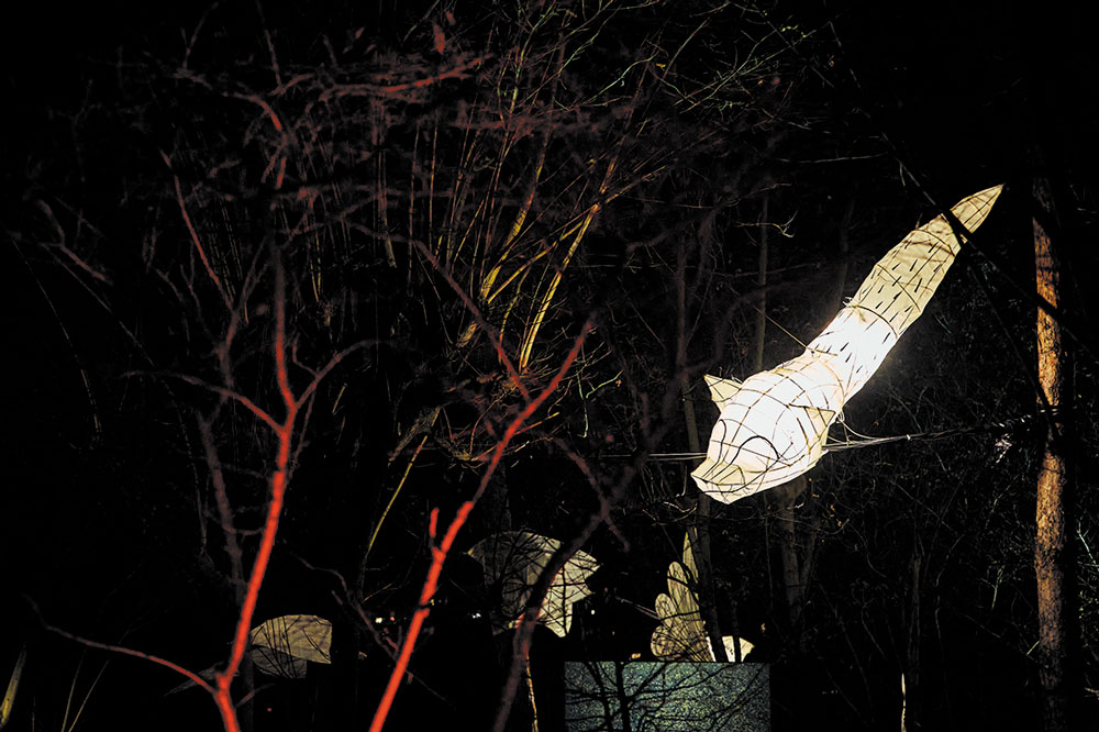 Animaux lanternes de l’association Les Poussières - Photo © Joseph Banderet