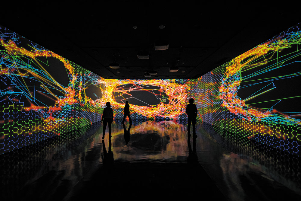 Complex Meshes, Miguel Chevalier - Photo © Nicolas Gaudelet