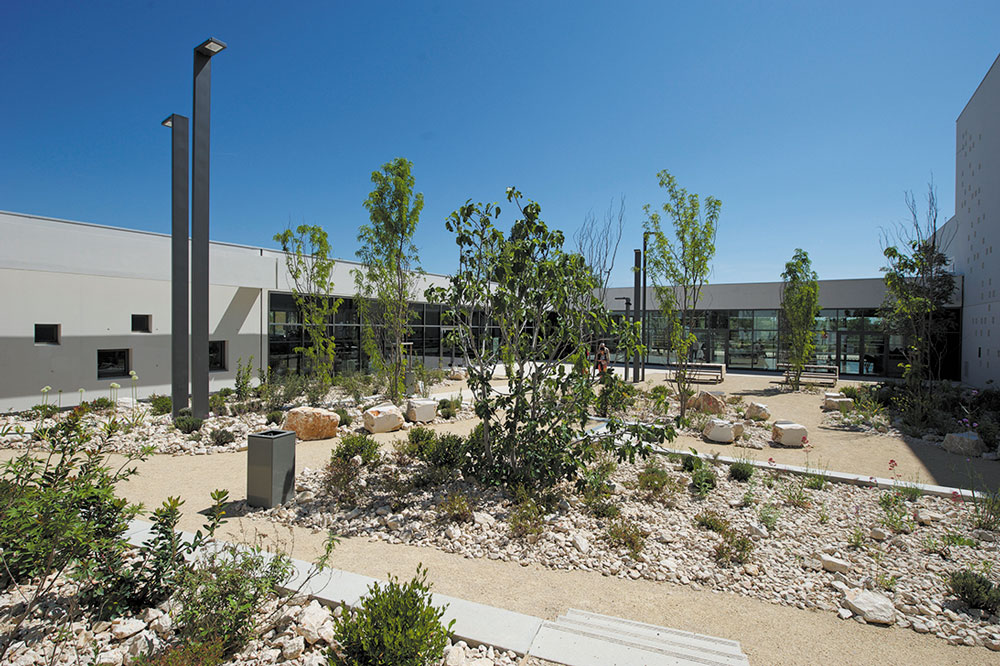 Jardin urbain