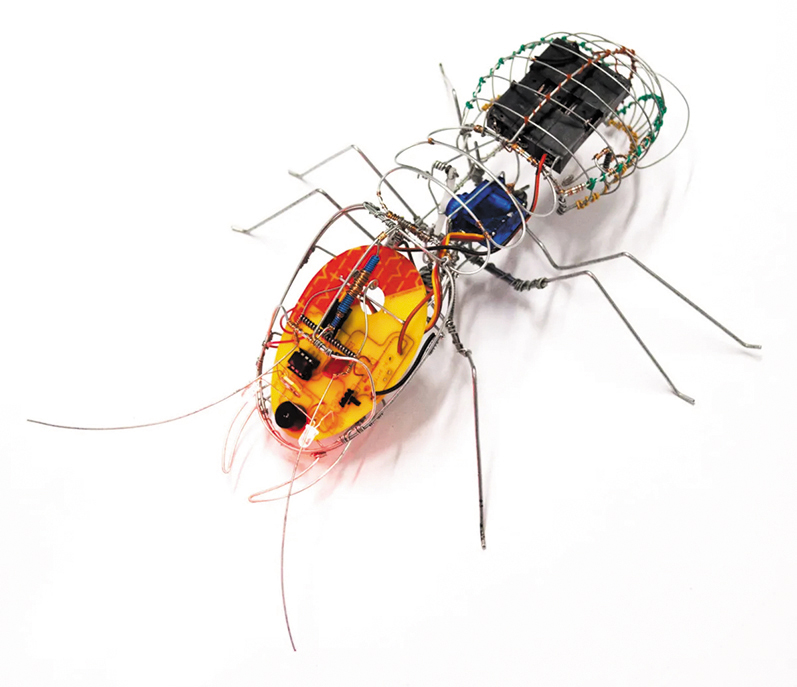 African Robots - Photo DR