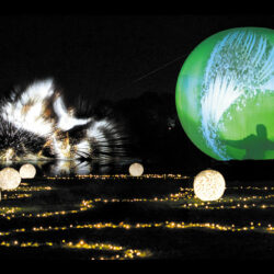 Présages, Fête des Lumières 2018