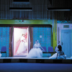 Vue du plateau - Photo © E. Carecchio