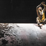 Xenos - Photo © Jean-Louis Fernandez