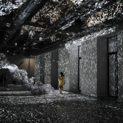 L’ombre de la vapeur - Fondation d'entreprise Martell - Photo © Adrien M & Claire B