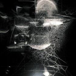 Webs of Attent(s)tion - Photo © Sun-A LEE