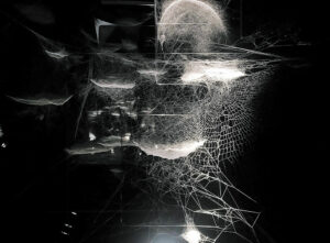 Webs of Attent(s)tion - Photo © Sun-A LEE