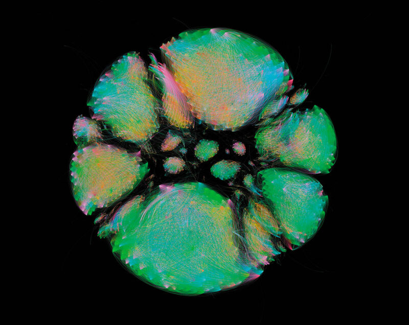 Microbiome Selfie, François-Joseph Lapointe, 2014