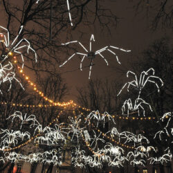 Spider Circus - Photo © M. Chaulet