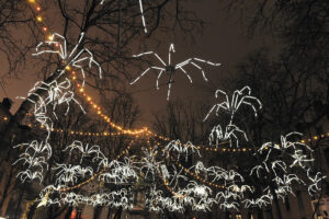 Spider Circus - Photo © M. Chaulet