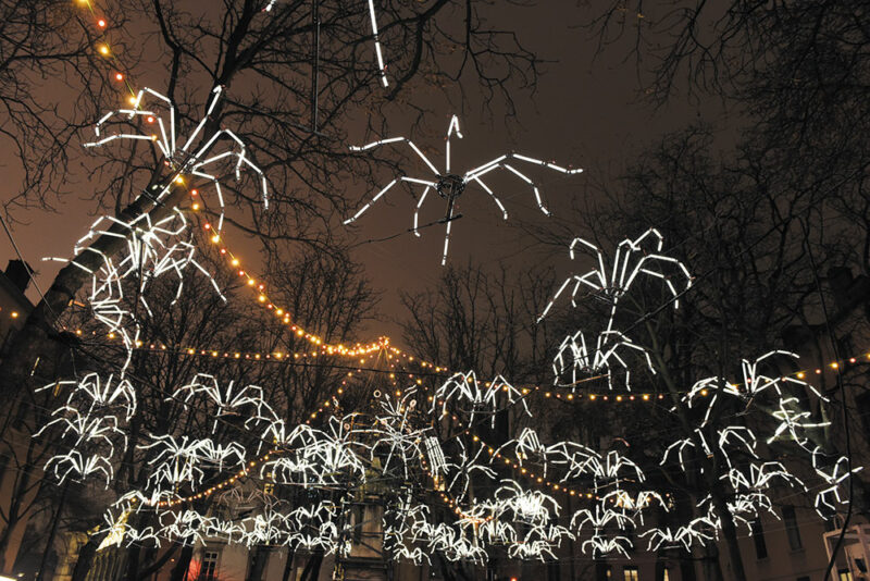 Spider Circus - Photo © M. Chaulet