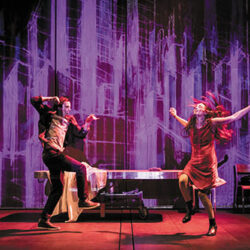 Tous des oiseaux - Photo © S. Gosselin