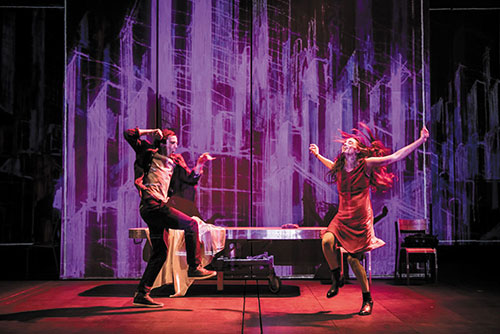 Tous des oiseaux - Photo © S. Gosselin