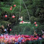 Bosch Dreams, compagnies Les 7 Doigts de la Main (Montréal) et Republique (Copenhague) - Photo © Abraham Per Mortensen