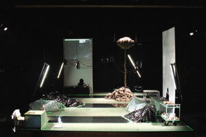 Plomb, Laurier, Crabe, texte et mise en scène Alexis Fichet, Studio-Théâtre de Vitry-sur-Seine - Photo © Frédéric Marolleau
